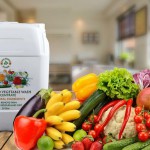 keolaproducts prime selections